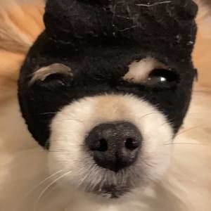 Meet your Posher, Arriana